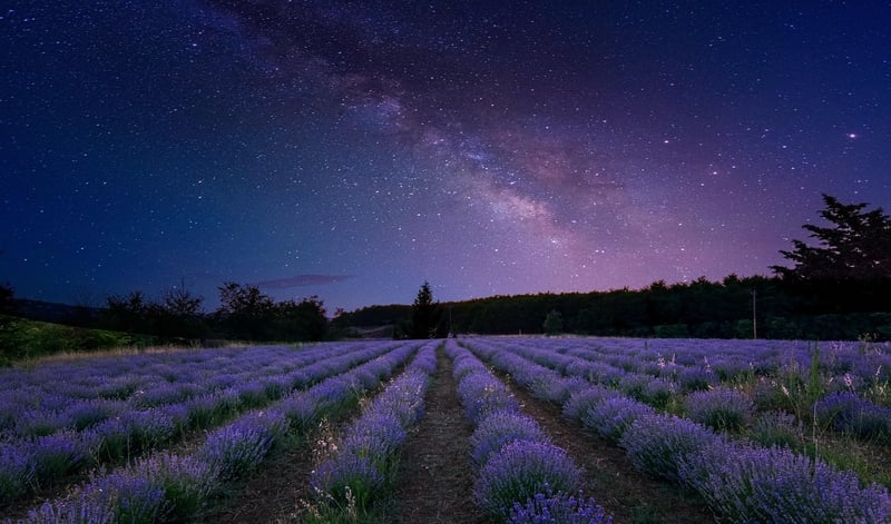 Galaxy Glam Theme